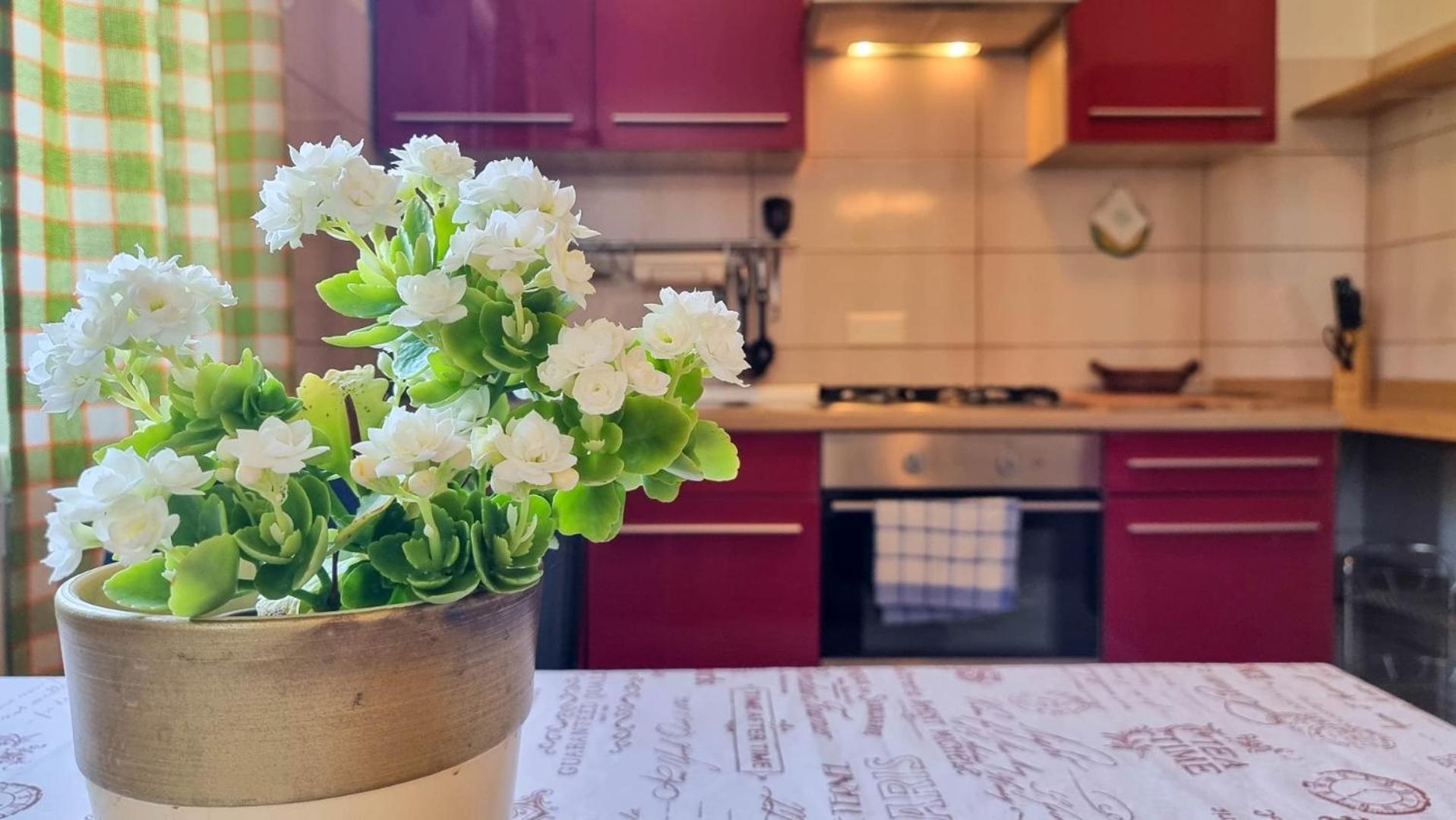 Appartamento Mirjana Four Novigrad Istria Esterno foto